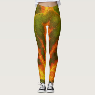 Grünes orange u. gelbes Aspen-Blatt #1 Leggings