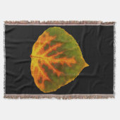 Grünes Orange und gelbes Aspen Leaf #1 Decke (Vorderseite)