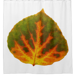 Grünes Orange und gelbes Aspen Leaf #1 Duschvorhang