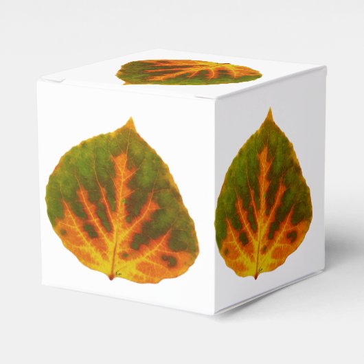 Grünes Orange und gelbes Aspen Leaf #1 Geschenkschachtel (Vorderseite)