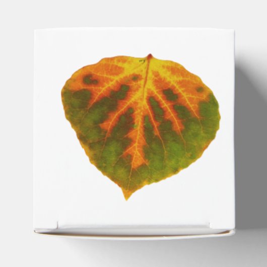 Grünes Orange und gelbes Aspen Leaf #1 Geschenkschachtel (Oben)