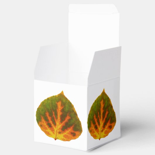Grünes Orange und gelbes Aspen Leaf #1 Geschenkschachtel (Geöffnet)