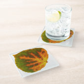 Grünes Orange und gelbes Aspen Leaf #1 Glasuntersetzer (Schrägansicht)