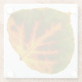 Grünes Orange und gelbes Aspen Leaf #1 Glasuntersetzer (Rückseite)