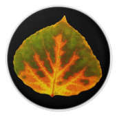 Grünes Orange und gelbes Aspen Leaf #1 Keramikknauf (Vorderseite)