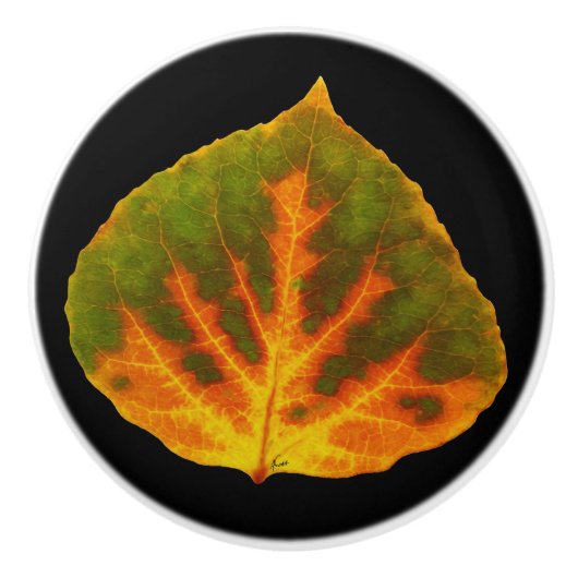 Grünes Orange und gelbes Aspen Leaf #1 Keramikknauf (Vorderseite)
