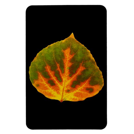 Grünes Orange und gelbes Aspen Leaf #1 Magnet (Vertikal)