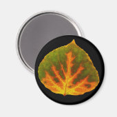 Grünes Orange und gelbes Aspen Leaf #1 Magnet (Vorderseite/Rückseite)