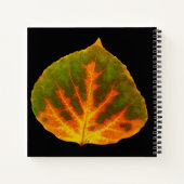 Grünes Orange und gelbes Aspen Leaf #1 Notizblock (Rückseite)