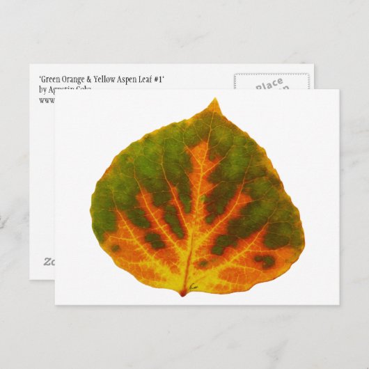Grünes Orange und gelbes Aspen Leaf #1 Postkarte (Vorne/Hinten)