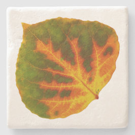 Grünes Orange und gelbes Aspen Leaf #1 Steinuntersetzer