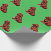 Grünes Papier für das braune Labradoodmuster Geschenkpapier (Ecke)