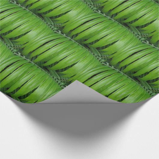 Grünes Papier zum Umpacken von Blättern Geschenkpapier (Ecke)