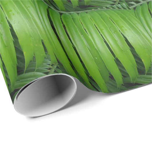 Grünes Papier zum Umpacken von Blättern Geschenkpapier (Rolleneckpunkt)