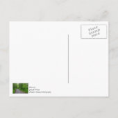 Grünes Paradies Postkarte (Rückseite)