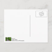 Grünes Paradies Postkarte (Rückseite)