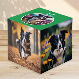 Grünes personalisiertes Andenken für Hunde mit meh Würfel