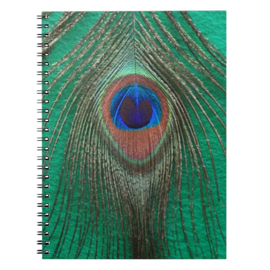 Grünes Pfau-Feder-Notizbuch Notizblock (Vorderseite)