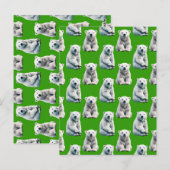 Grünes Polarbär-Musterdesign Postkarte (Vorne/Hinten)