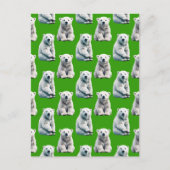 Grünes Polarbär-Musterdesign Postkarte (Vorderseite)