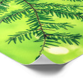 Grünes Poster von Evergreen Nature Pine Trees (Ecke)