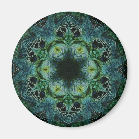 grünes Reptil Magnet (Vorne)