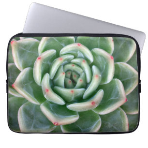 Grünes Rot gespitzter Succulent Laptopschutzhülle
