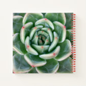 Grünes Rot, kokulär Notizblock (Rückseite)