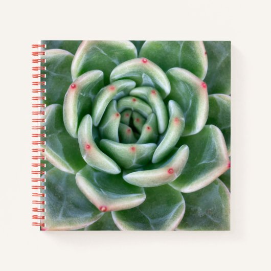 Grünes Rot, kokulär Notizblock (Vorderseite)