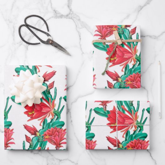Grünes rotes Kaktusmuster Geschenkpapier Set (Vorderseite)