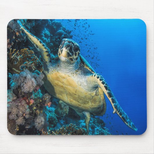 Grünes Rotes Meer der Meeresschildkröte-| Mousepad (Vorne)