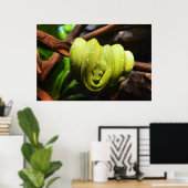 Grünes Schlangentier Poster (Heimbüro)