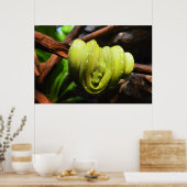 Grünes Schlangentier Poster (Küche)