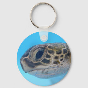 Grünes Seeschildkröte-Schlüsselanhänger Schlüsselanhänger