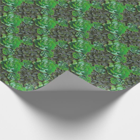 Grünes Sukkulat Lattice Muster Papier Geschenkpapier (Ecke)