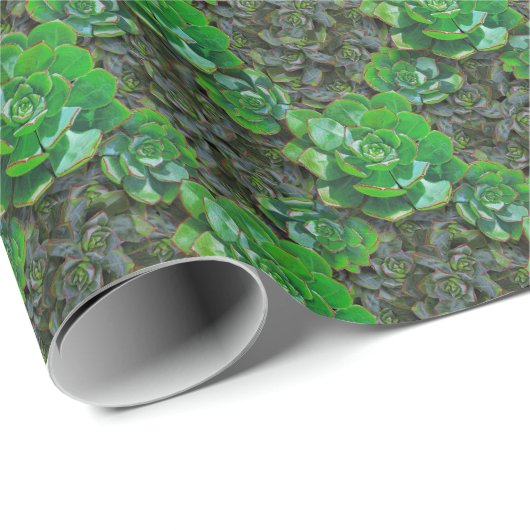 Grünes Sukkulat Lattice Muster Papier Geschenkpapier (Rolleneckpunkt)