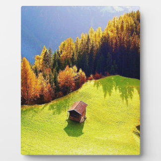 Grünes Tal Fotoplatte