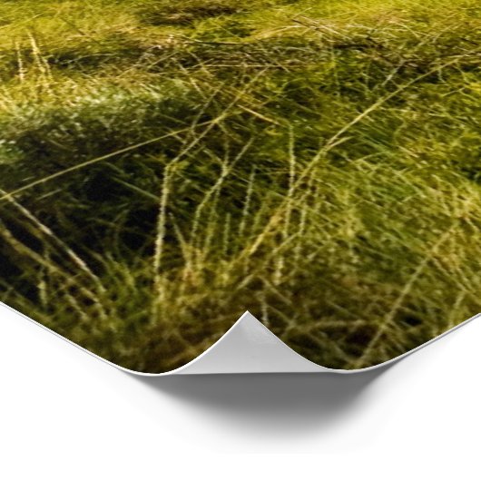 Grünes Tal Poster (Ecke)