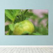 Grünes Tomat Leinwanddruck (Insitu (Holzboden))