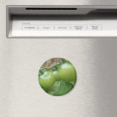 Grünes Tomaten-Magnet Magnet (In Situ (Geschirrspüler))