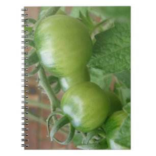 Grünes Tomaten-Notebook Notizblock