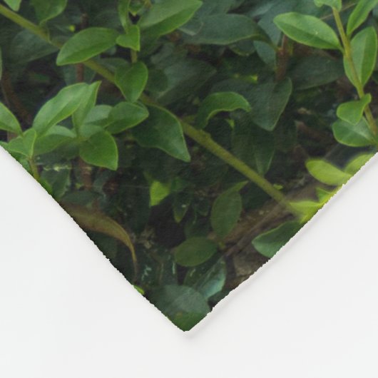 Grünes Topiary Heart Fleecedecke (Ecke)