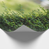 Grünes Topiary Heart Geschenkpapier (Ecke)