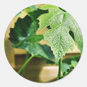 Grünes Trauben-Blatt Runder Aufkleber