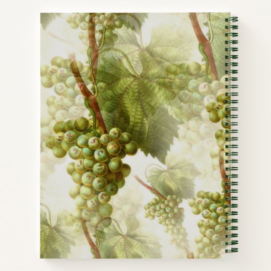 Grünes Traubenrezeptorbuch Notizblock (Rückseite)