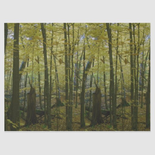 Grünes und schwarzes Baumwollpapier Seidenpapier (Vorderseite)