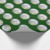 Grünes und Silberverschleißpapier Geschenkpapier (Ecke)