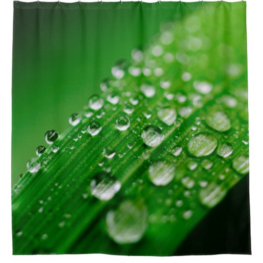 Grünes Wasserblatt Duschvorhang (Vorderseite)