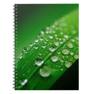 Grünes Wasserblatt Notizblock