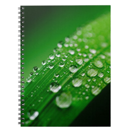 Grünes Wasserblatt Notizblock (Vorderseite)